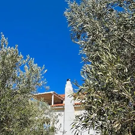Vila Gorgeous Private With Sea View! Batsi
